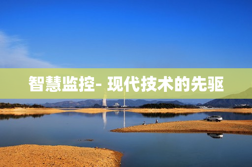 智慧監(jiān)控- 現(xiàn)代技術(shù)的先驅(qū)