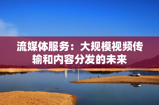 流媒体服务：大规模视频传输和内容分发的未来