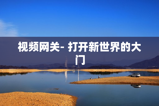 視頻網(wǎng)關- 打開新世界的大門