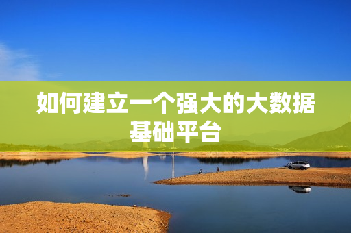 如何建立一個強大的大數(shù)據(jù)基礎(chǔ)平臺