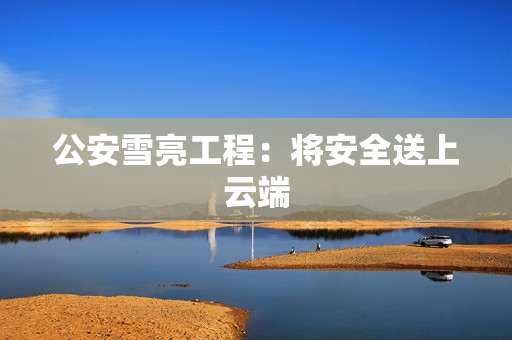 公安雪亮工程：將安全送上云端