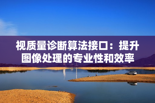 視質(zhì)量診斷算法接口：提升圖像處理的專業(yè)性和效率