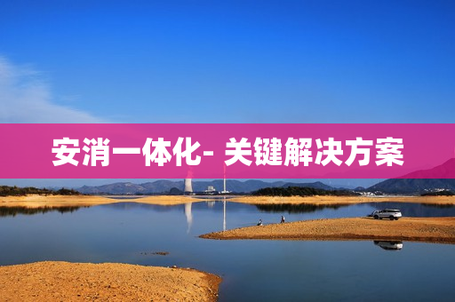 安消一體化- 關(guān)鍵解決方案