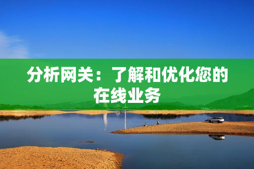 分析網(wǎng)關(guān)：了解和優(yōu)化您的在線業(yè)務(wù)