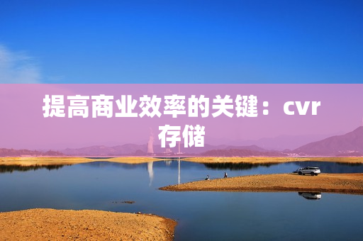 提高商业效率的关键：cvr存储