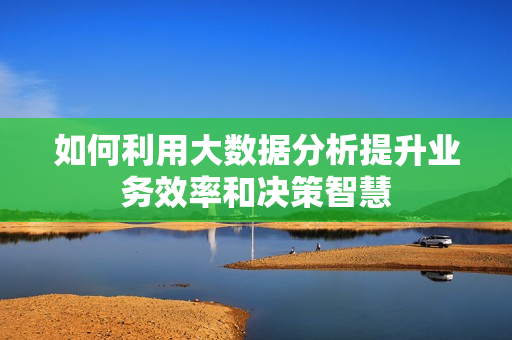 如何利用大數(shù)據(jù)分析提升業(yè)務(wù)效率和決策智慧