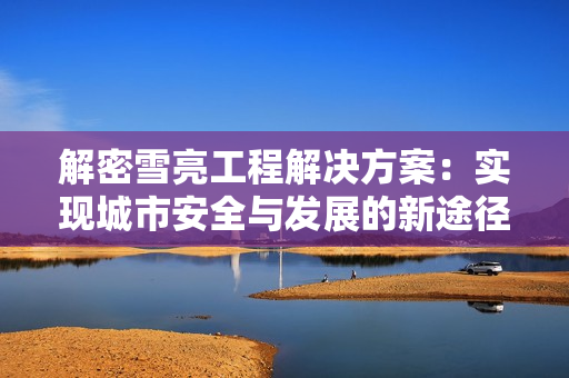 解密雪亮工程解決方案：實現(xiàn)城市安全與發(fā)展的新途徑