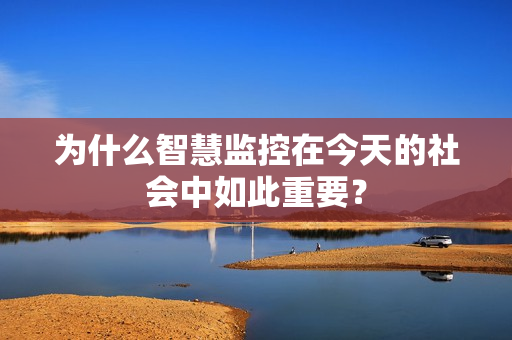 為什么智慧監(jiān)控在今天的社會中如此重要？