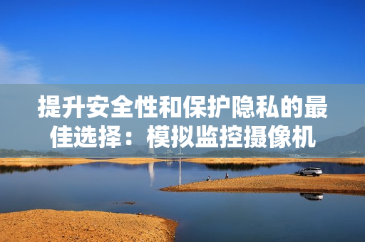 提升安全性和保護(hù)隱私的最佳選擇：模擬監(jiān)控?cái)z像機(jī)