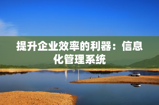 提升企業(yè)效率的利器：信息化管理系統(tǒng)