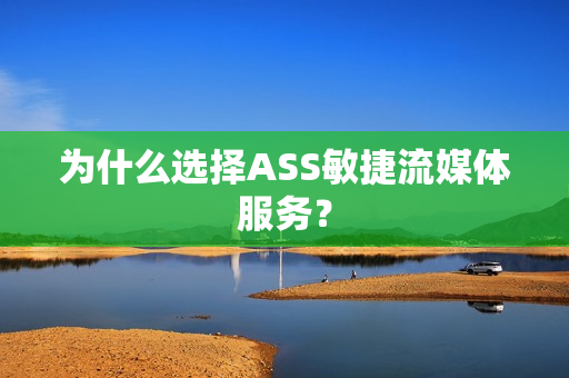 為什么選擇ASS敏捷流媒體服務？