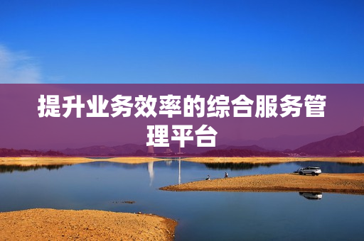 提升業(yè)務(wù)效率的綜合服務(wù)管理平臺
