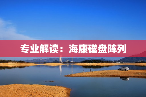 專業(yè)解讀：?？荡疟P陣列