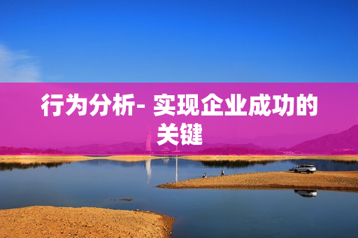 行為分析- 實現企業(yè)成功的關鍵