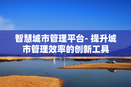 智慧城市管理平臺(tái)- 提升城市管理效率的創(chuàng)新工具
