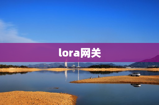 lora網(wǎng)關(guān)