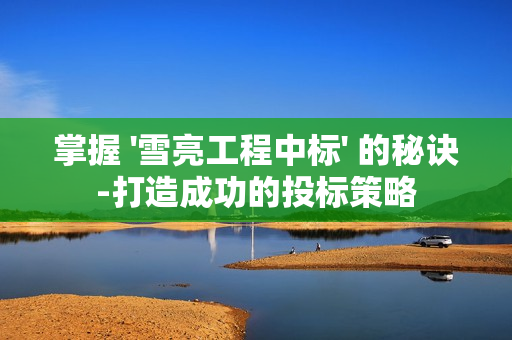 掌握 '雪亮工程中標(biāo)' 的秘訣-打造成功的投標(biāo)策略