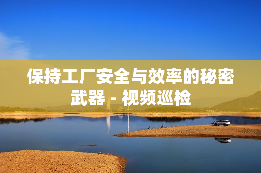 保持工廠安全與效率的秘密武器 - 視頻巡檢