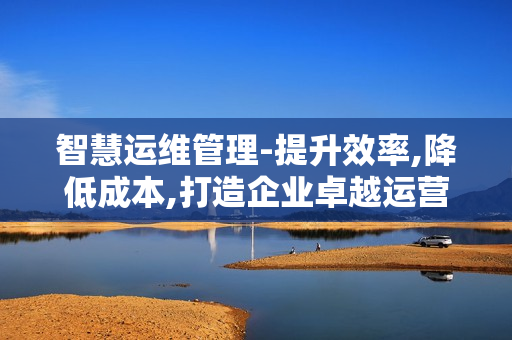 智慧運(yùn)維管理-提升效率,降低成本,打造企業(yè)卓越運(yùn)營(yíng)