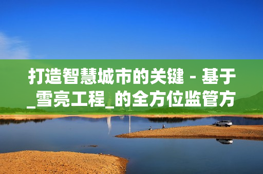 打造智慧城市的關(guān)鍵 - 基于_雪亮工程_的全方位監(jiān)管方案