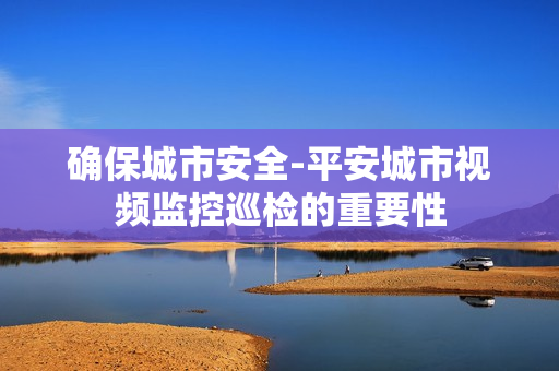 確保城市安全-平安城市視頻監(jiān)控巡檢的重要性
