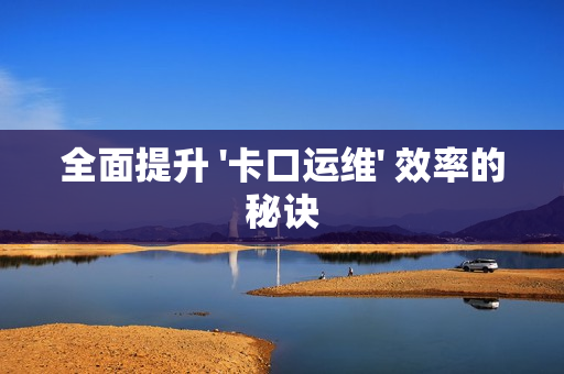 全面提升 '卡口運(yùn)維' 效率的秘訣