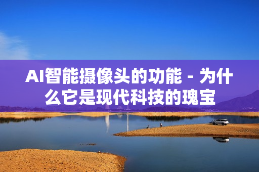 AI智能攝像頭的功能 - 為什么它是現(xiàn)代科技的瑰寶
