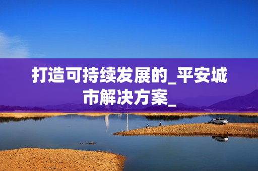 打造可持续发展的_平安城市解决方案_