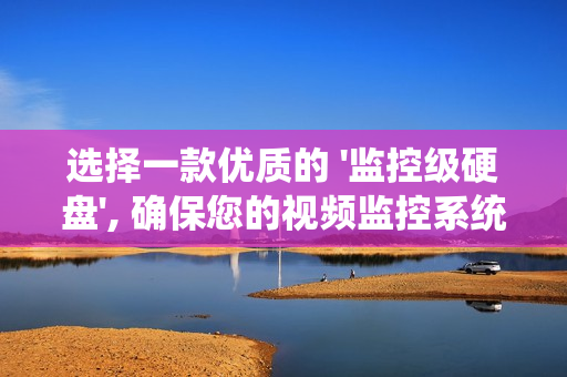 選擇一款優(yōu)質(zhì)的 '監(jiān)控級(jí)硬盤(pán)', 確保您的視頻監(jiān)控系統(tǒng)安全可靠運(yùn)行