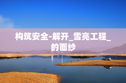 構(gòu)筑安全-解開_雪亮工程_的面紗