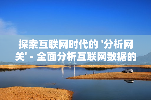 探索互聯(lián)網(wǎng)時代的 '分析網(wǎng)關(guān)' - 全面分析互聯(lián)網(wǎng)數(shù)據(jù)的關(guān)鍵