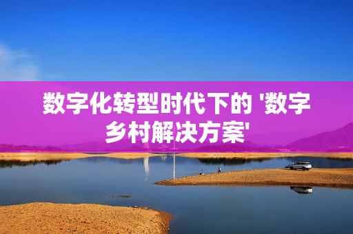 數(shù)字化轉(zhuǎn)型時(shí)代下的 '數(shù)字鄉(xiāng)村解決方案'