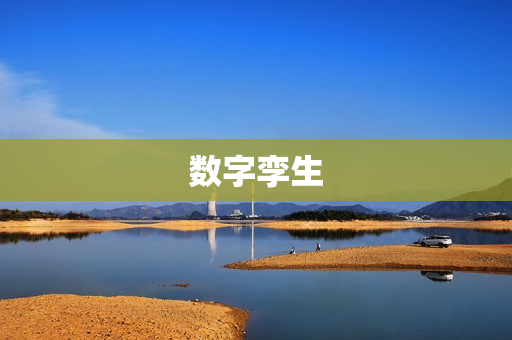 數(shù)字孿生