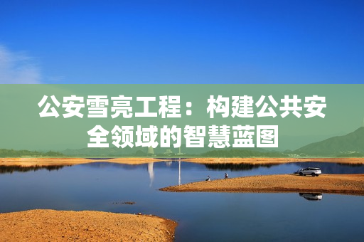 公安雪亮工程：構(gòu)建公共安全領(lǐng)域的智慧藍圖