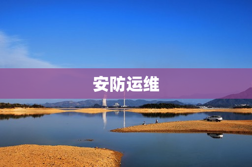 安防運維