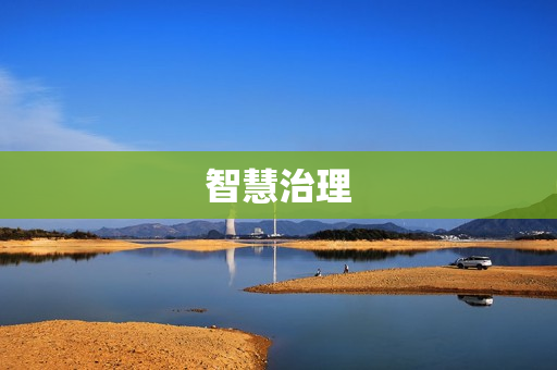 智慧治理