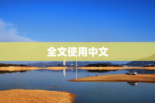全文使用中文