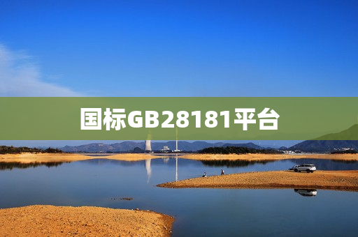 國(guó)標(biāo)GB28181平臺(tái)