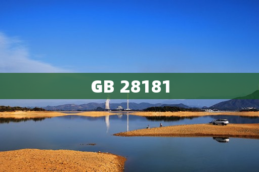 GB 28181
