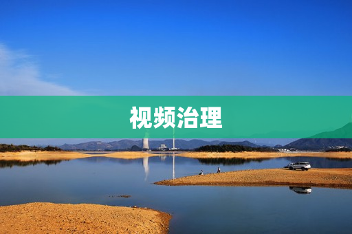 視頻治理