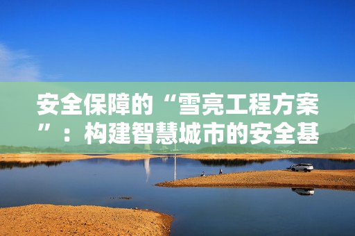 安全保障的“雪亮工程方案”：構(gòu)建智慧城市的安全基石