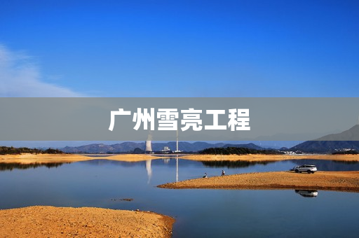 廣州雪亮工程