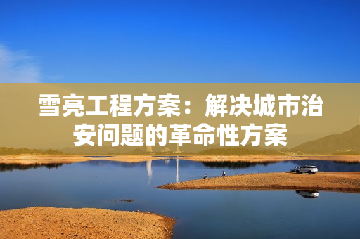 雪亮工程方案：解決城市治安問題的革命性方案