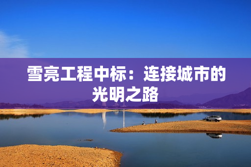 雪亮工程中標：連接城市的光明之路