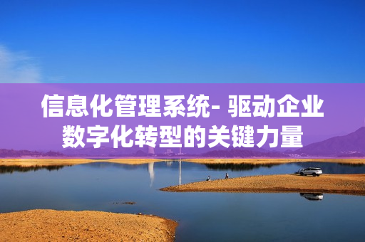 信息化管理系統(tǒng)- 驅(qū)動企業(yè)數(shù)字化轉(zhuǎn)型的關鍵力量