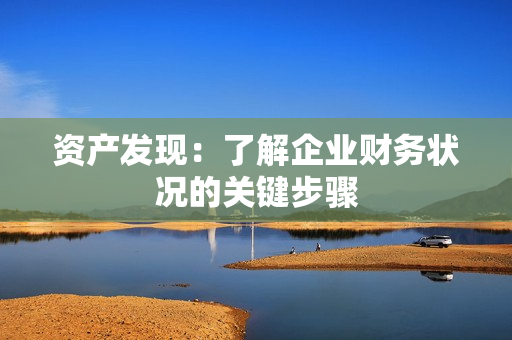 资产发现：了解企业财务状况的关键步骤