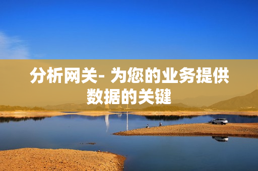 分析網(wǎng)關(guān)- 為您的業(yè)務(wù)提供數(shù)據(jù)的關(guān)鍵