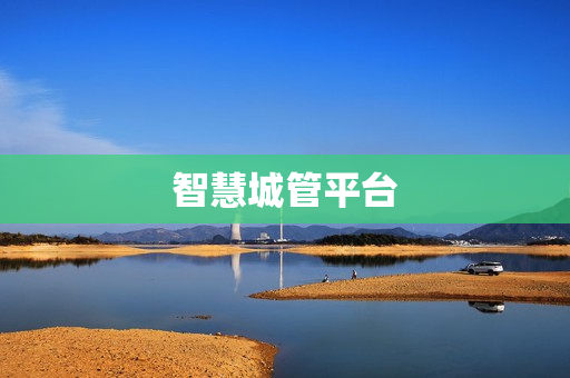 智慧城管平臺(tái)