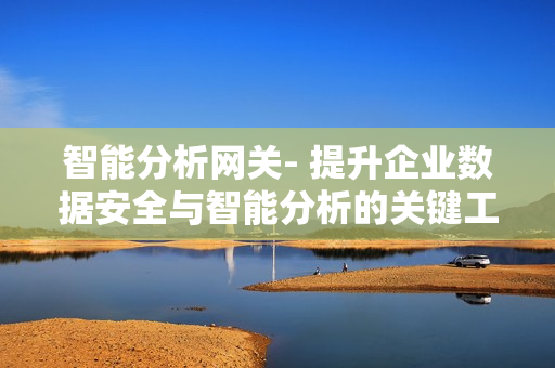 智能分析网关- 提升企业数据安全与智能分析的关键工具