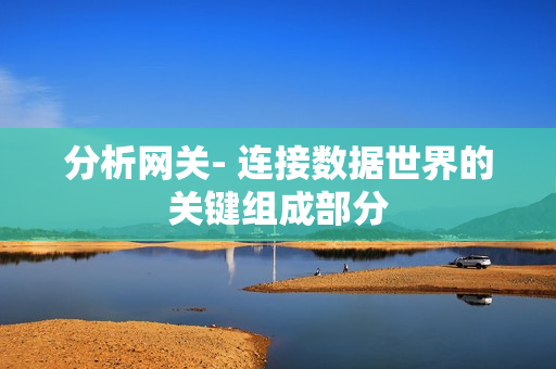 分析網(wǎng)關(guān)- 連接數(shù)據(jù)世界的關(guān)鍵組成部分